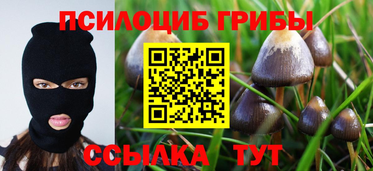 Псилоцибиновые грибы MAGIC MUSHROOMS Киржач