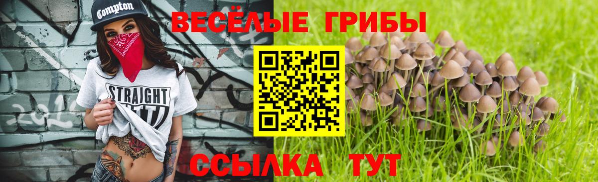 Галлюциногенные грибы Cubensis  Вход с VPN  купить закладку  Киржач 